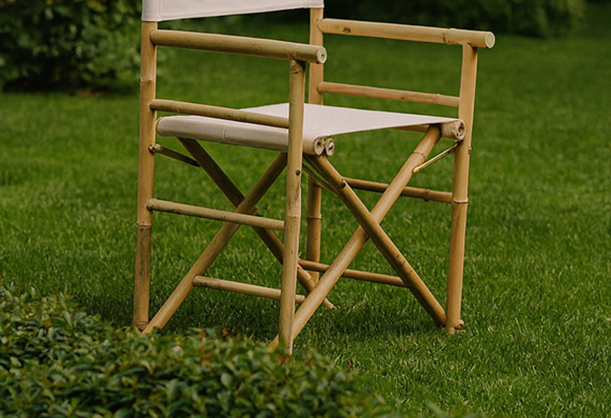 Απεικονίζεται η καρέκλα σκηνοθέτη